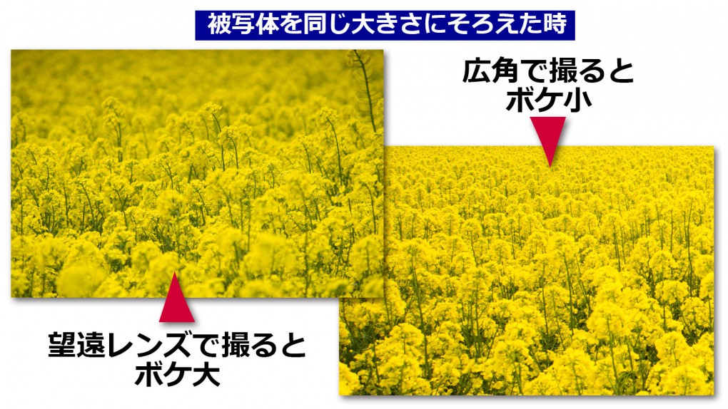 望遠になるほど大きなボケ効果が得られる