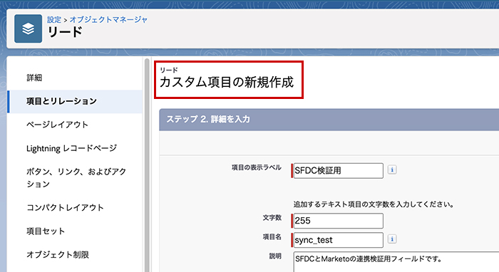 Salesforceのカスタム項目作成画面