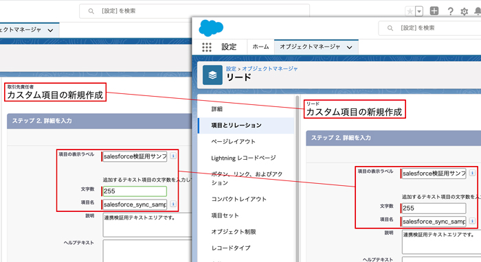 Salesforceのカスタム項目作成画面